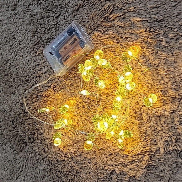 String lights - Picture 3 of 3